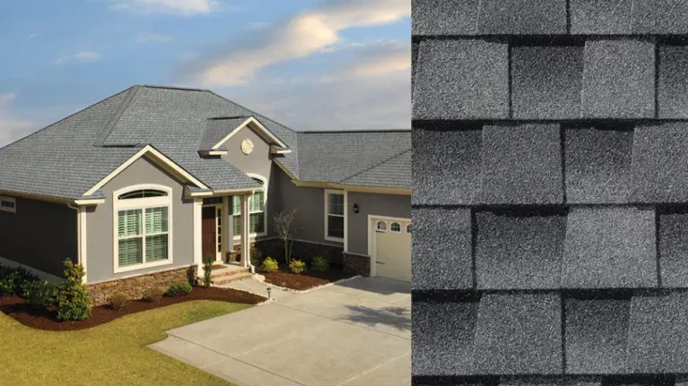 Suburban house exterior with gray siding and a close-up of gray asphalt roof shingles
