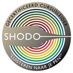 Shodo - de weg van het schrijven