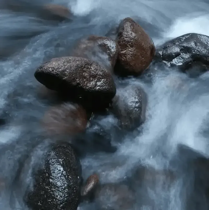 peaceful water near a green burial