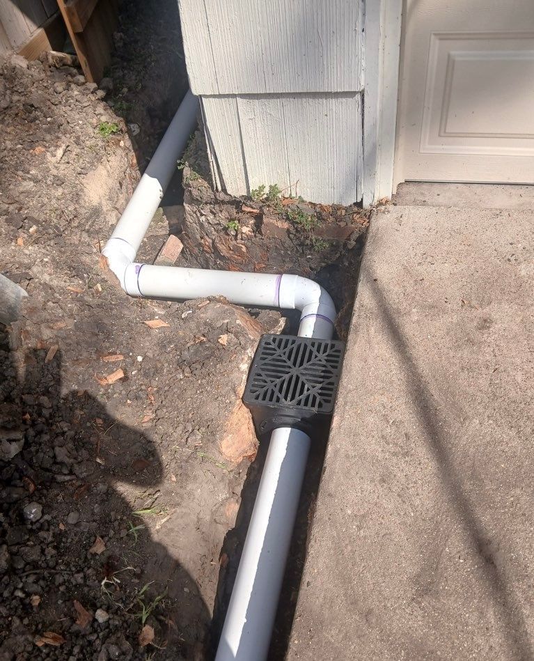 Rectangular storm drain grate set in wet brown pavement, with green vegetation visible below.