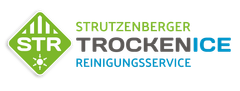 Trockeneis-Reinigung