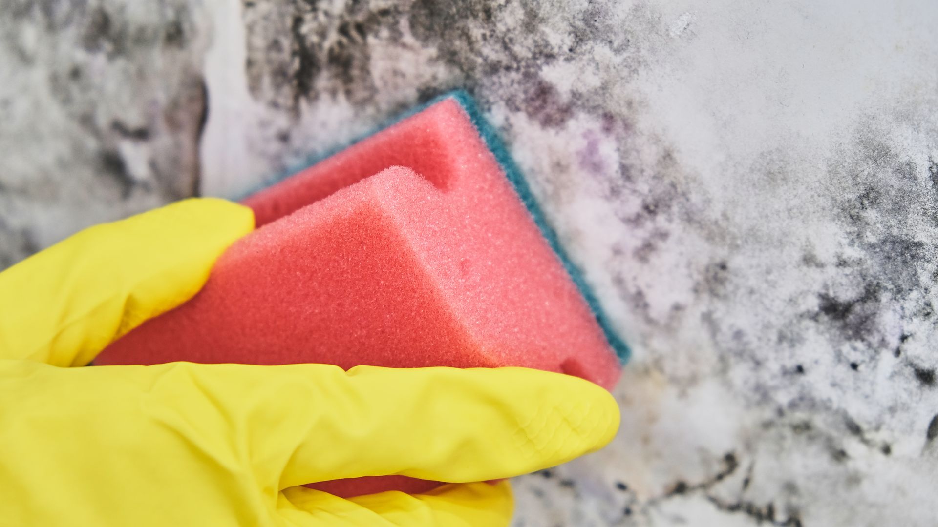 Yellow-gloved hand wiping a red sponge on a speckled countertop