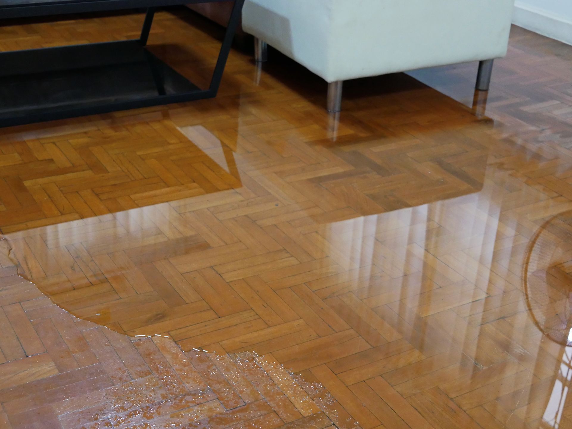 Water-damaged hardwood floor with a wet patch near a white chair and black table