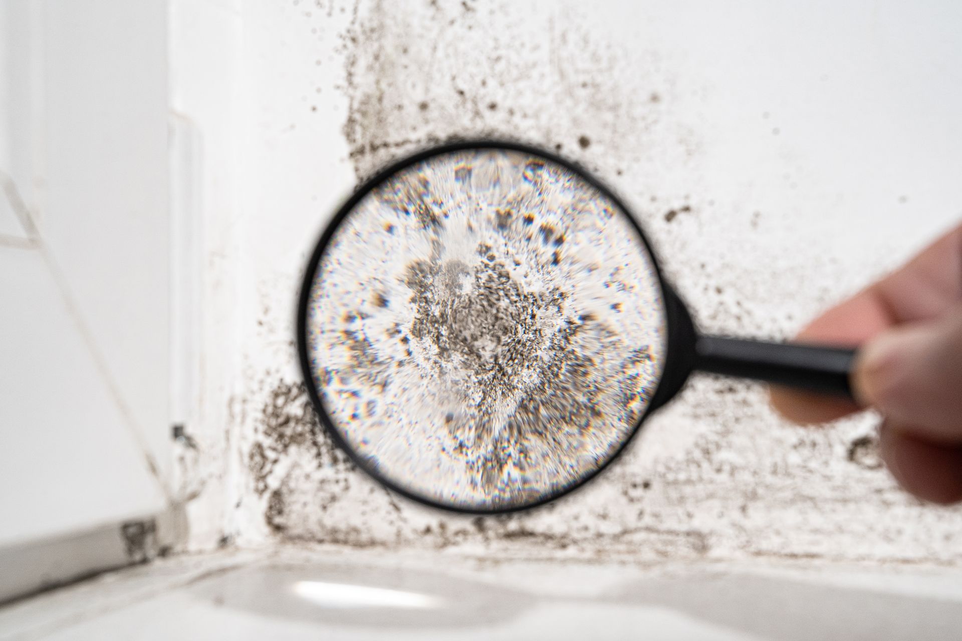 Magnifying glass examining mold spots on a white bathroom wall near a sink