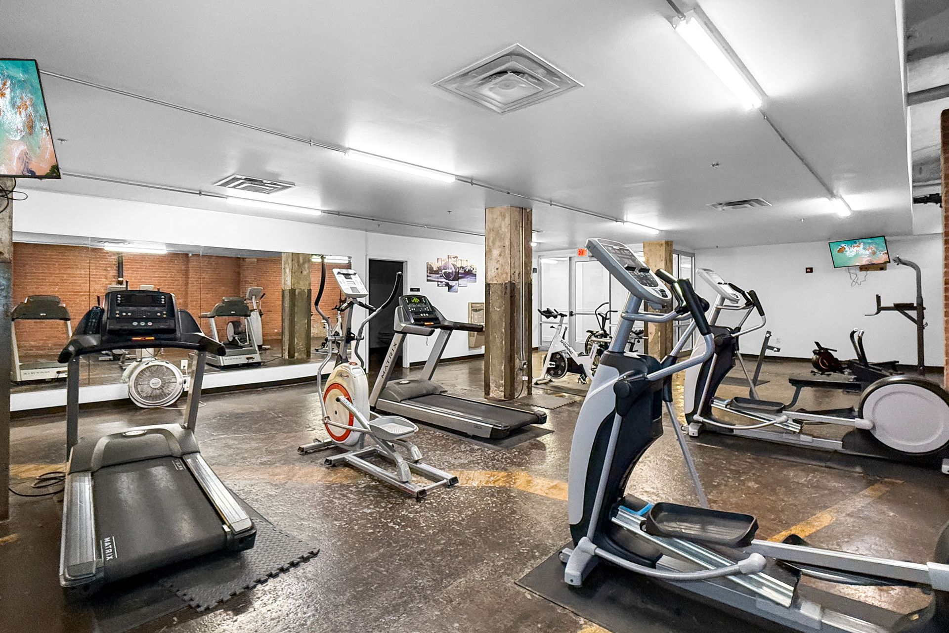 A gym featuring rows of treadmills, elliptical machines, and stationary bikes in a room with mirrors and concrete floors.