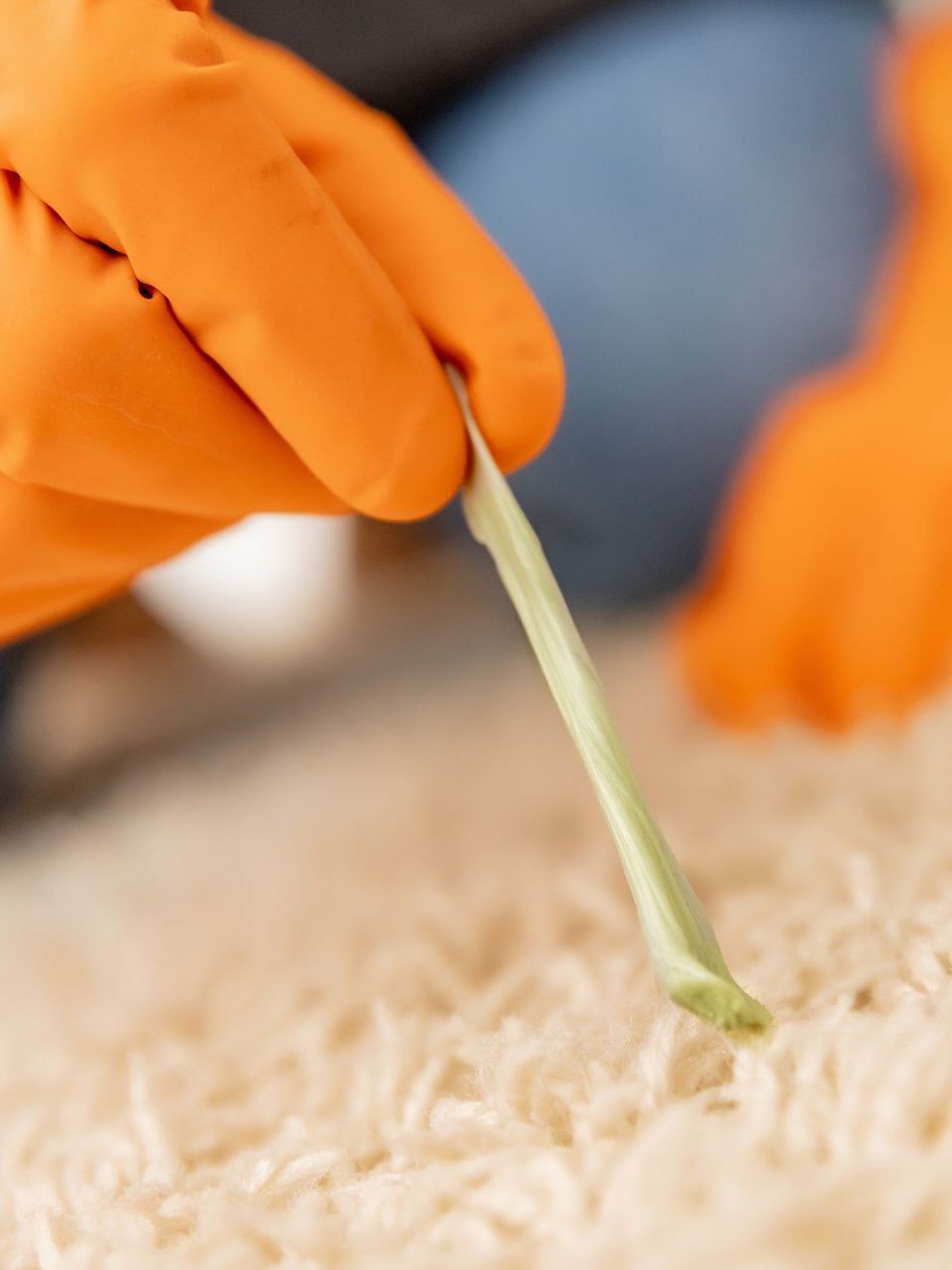 A person wearing orange gloves is cleaning a carpet with a toothbrush.
