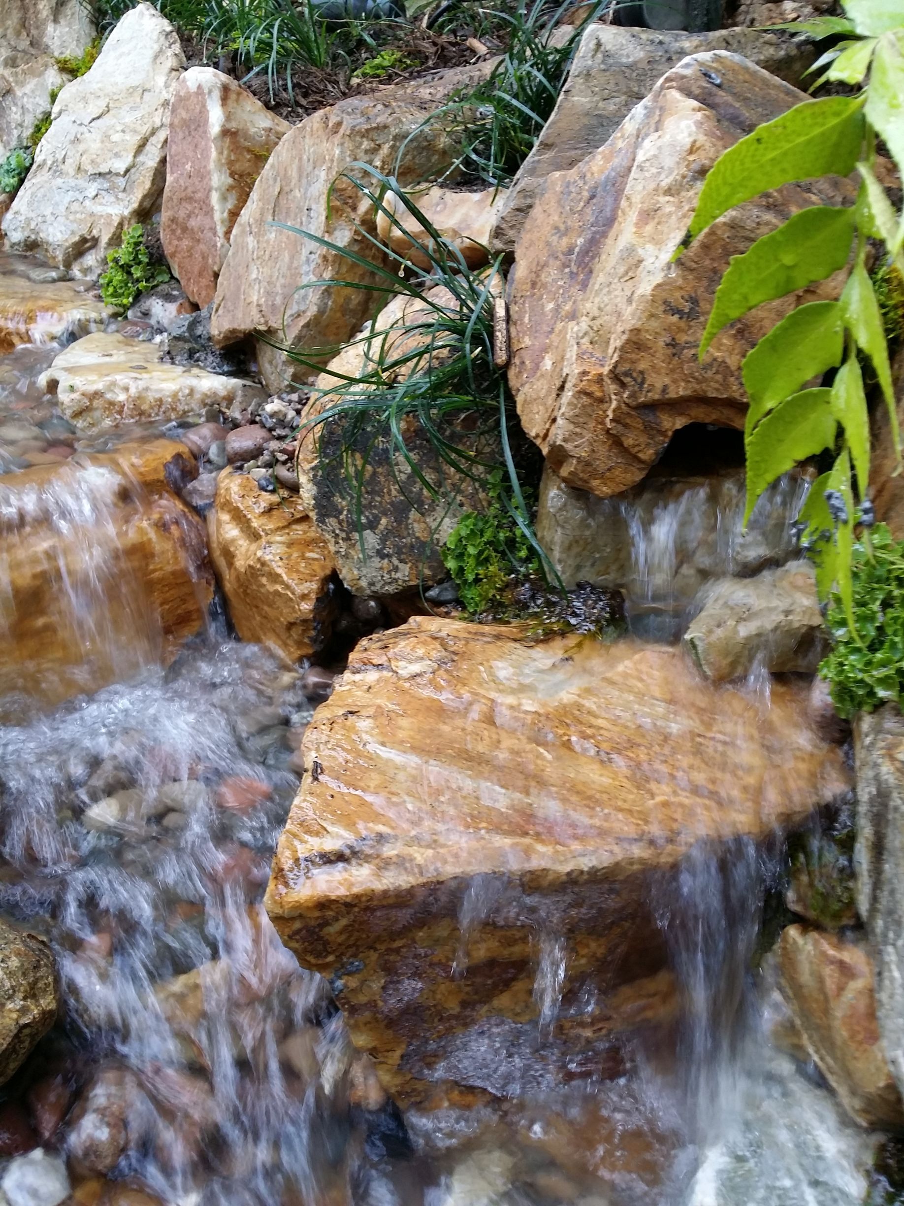 Water cascades over brown rocks in a small waterfall; plants grow on the rocks.