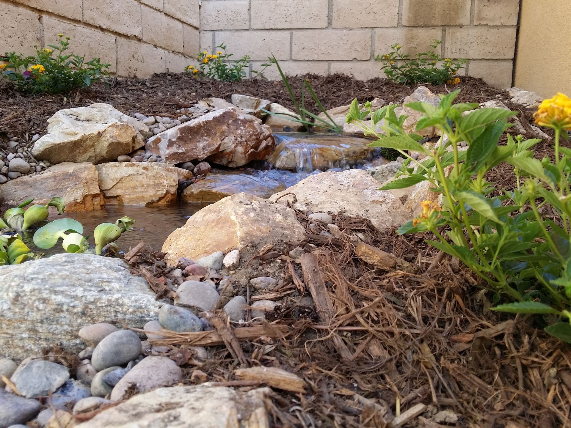 Small backyard water feature with rocks, plants, and flowing water, against a cinder block wall.