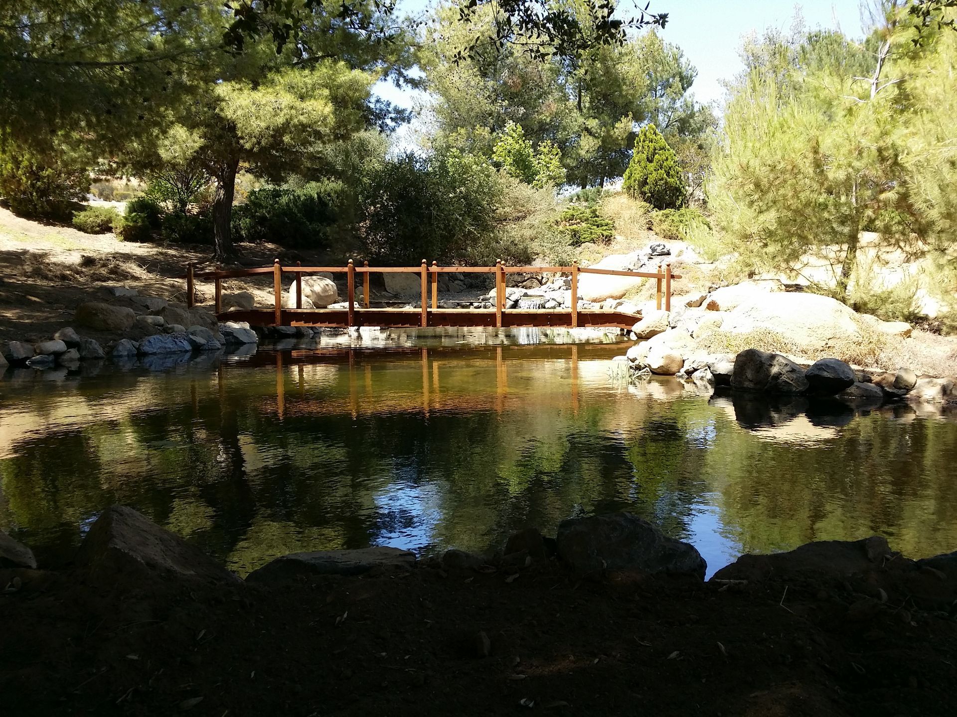 Wooden bridge over a pond reflecting trees; sunny park setting.