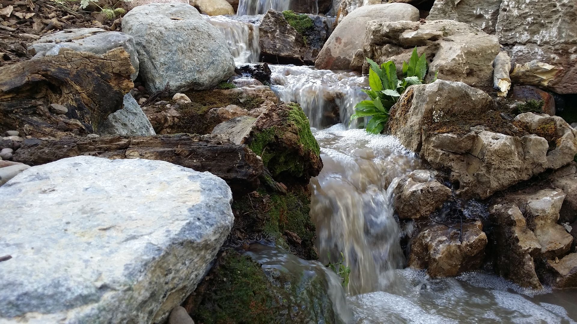 Water cascading over mossy rocks in a natural setting.