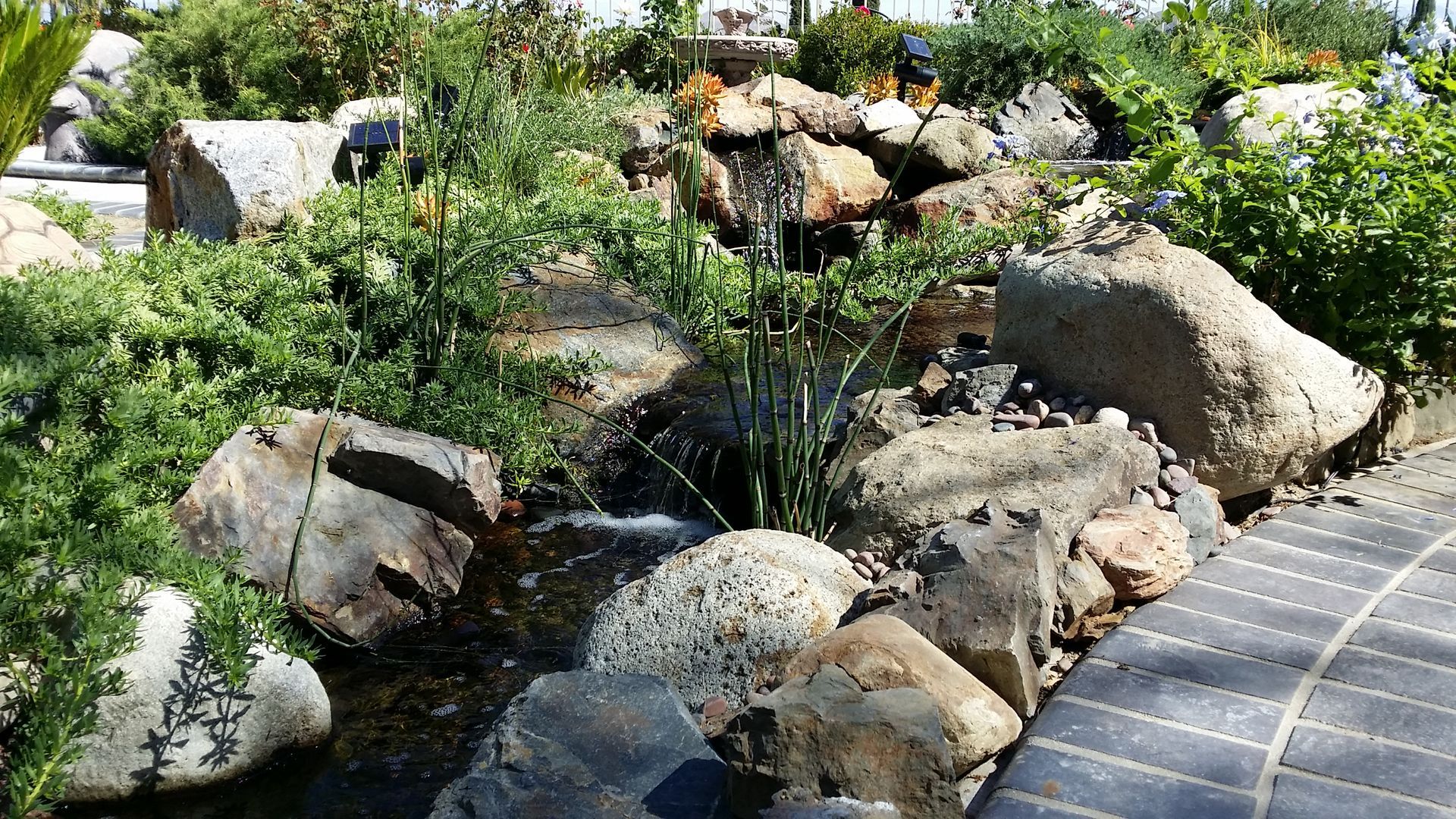 Pond with rocks and greenery, small waterfall, bordering brick pathway.