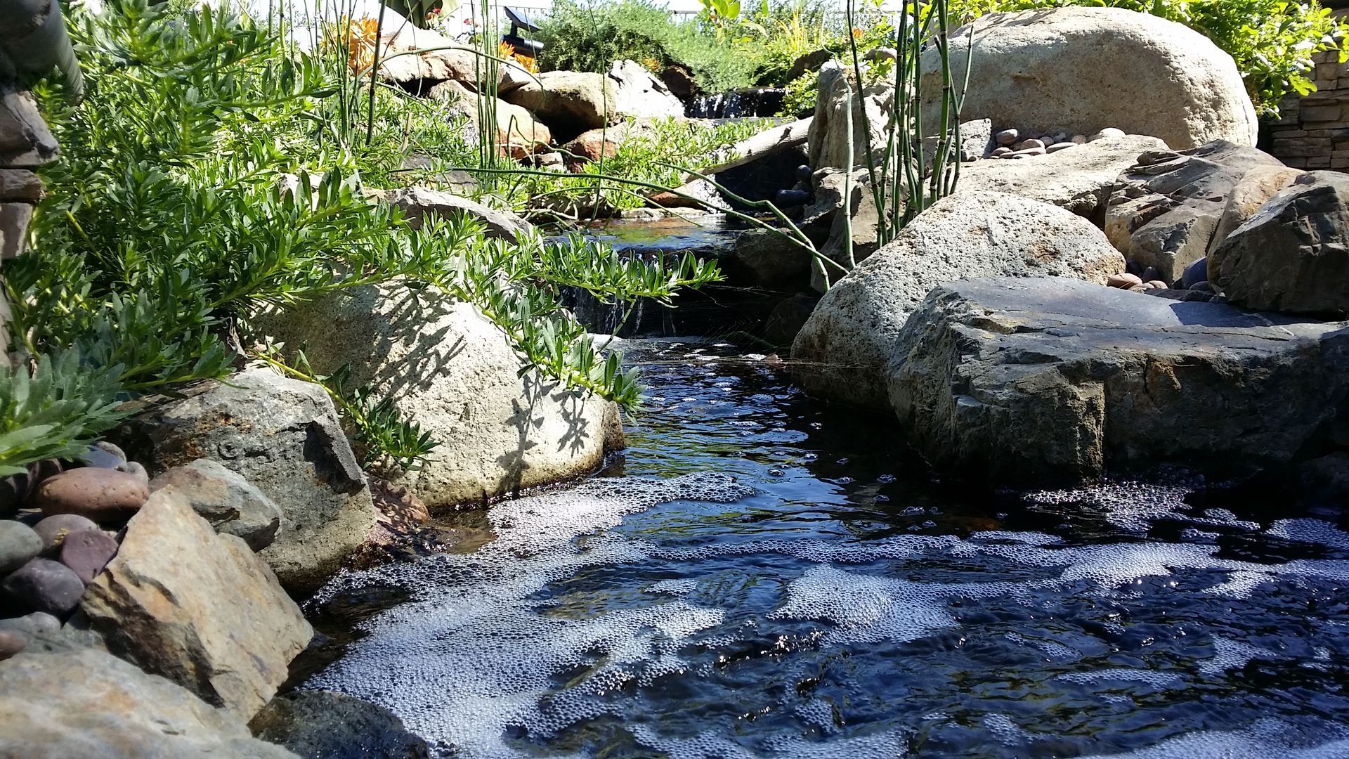 A water stream cascades over rocks in a garden setting, surrounded by lush green plants.