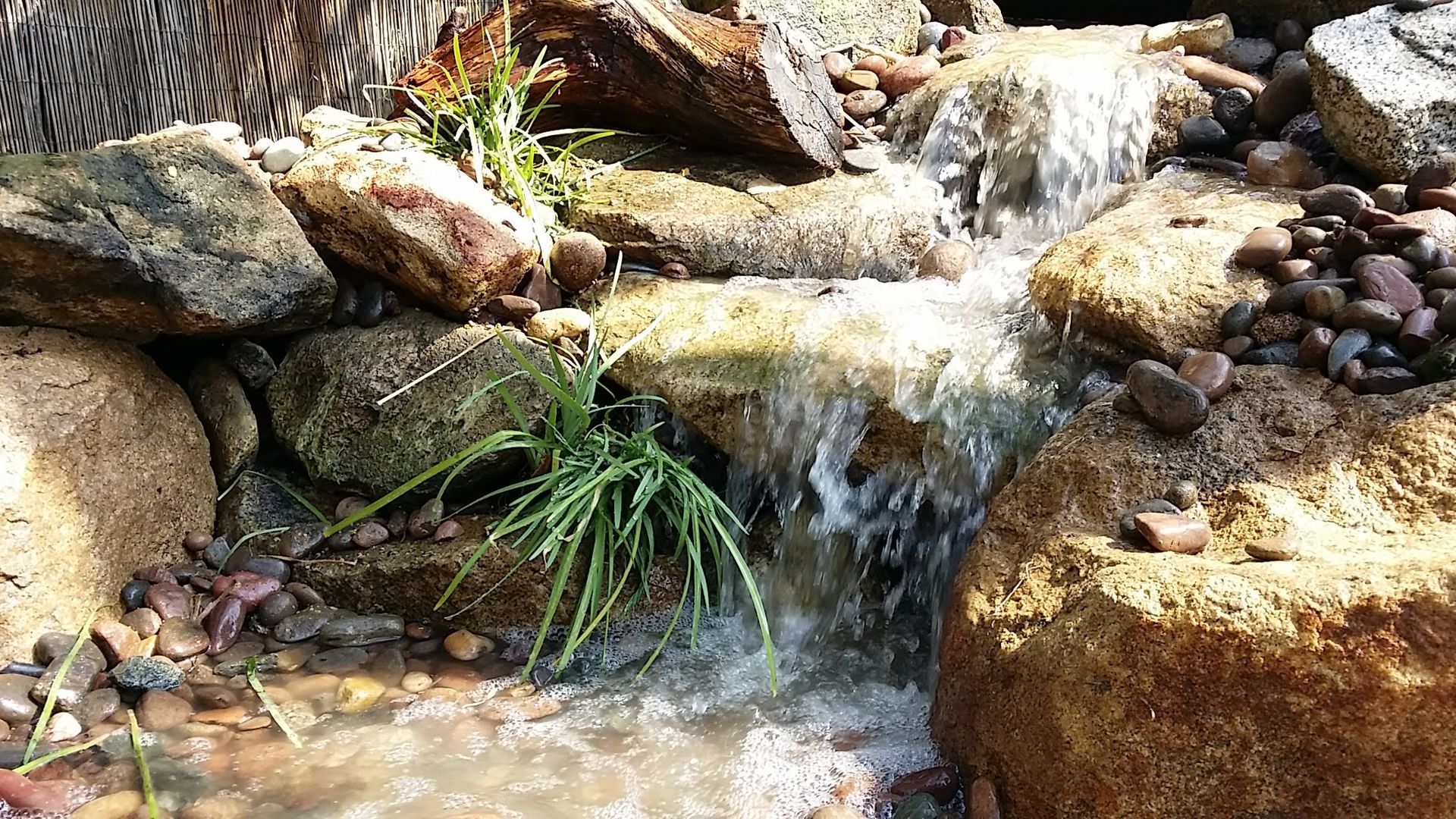 Water cascading over large, brown rocks in a small waterfall with green plants and small pebbles.