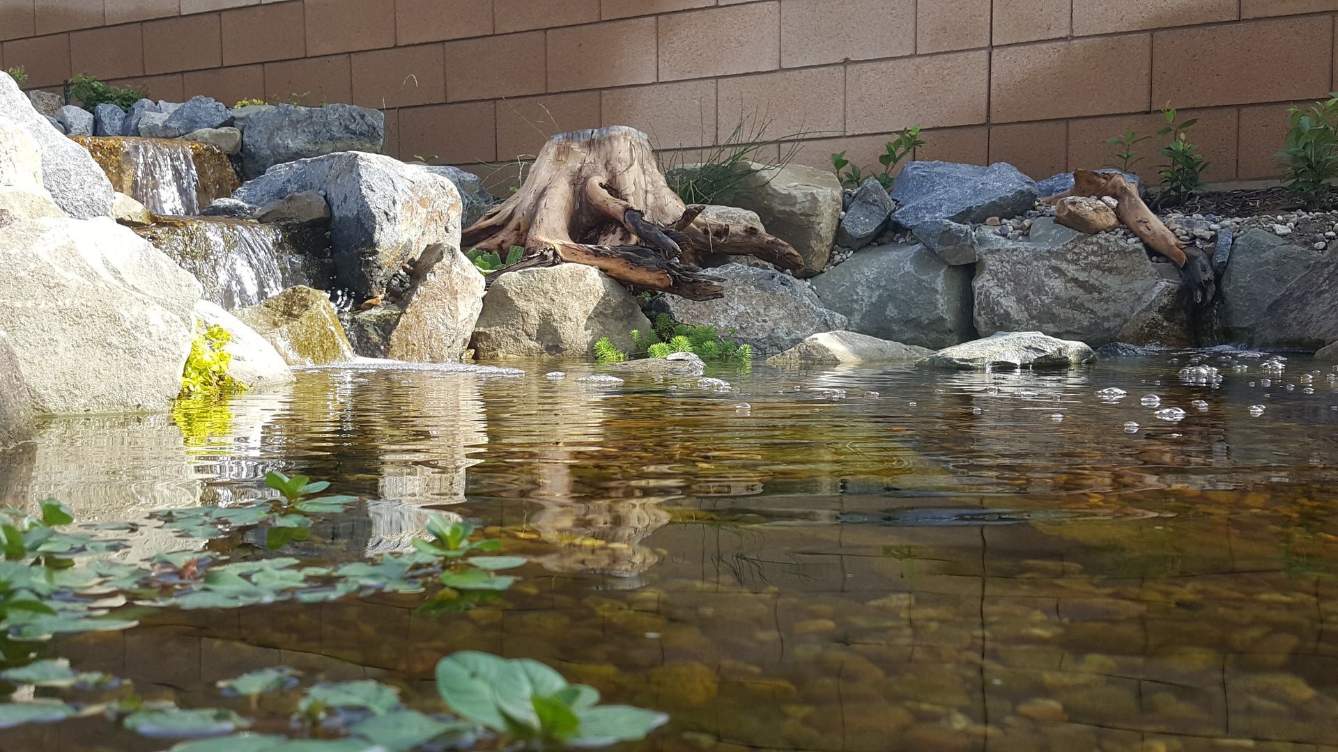 A small pond with a cascading waterfall feature built into a rock wall.