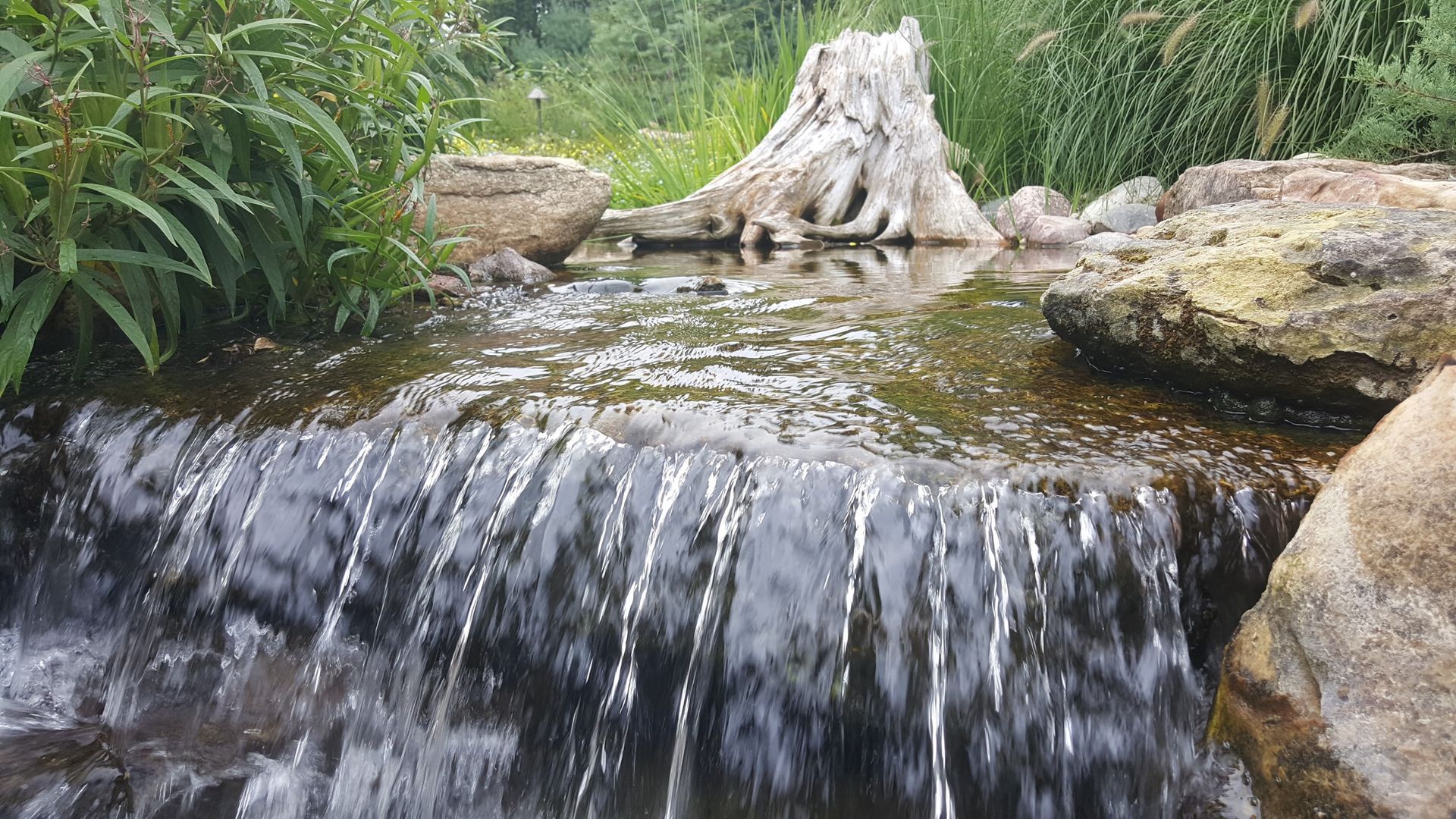Small waterfall flows into a pond surrounded by rocks, greenery, and a weathered tree stump.