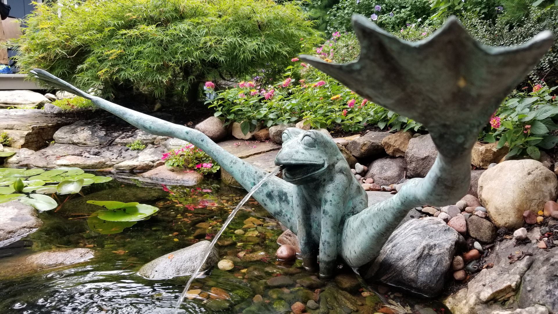Bronze frog fountain sprays water into a pond with lily pads, near rocks and flowers.