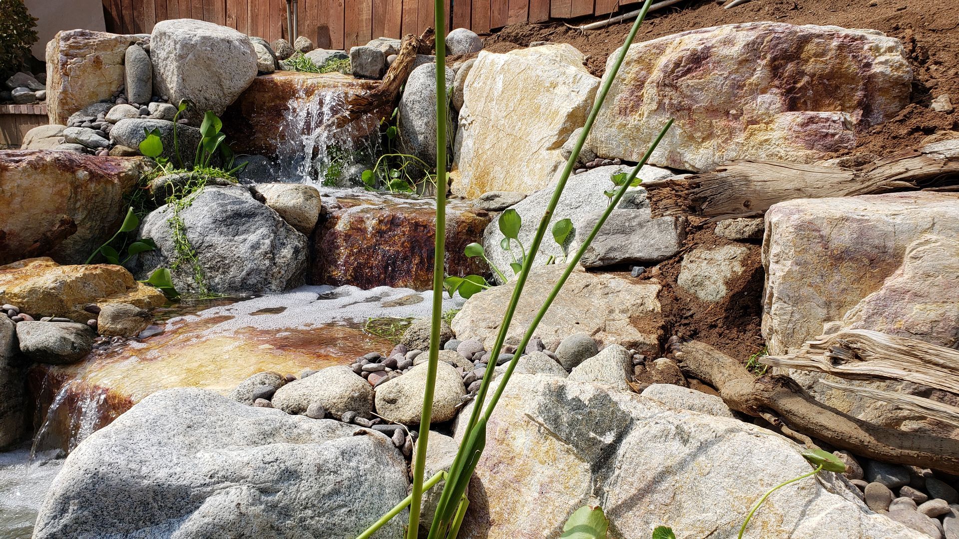 Water cascading over rocks in a backyard waterfall feature with greenery.