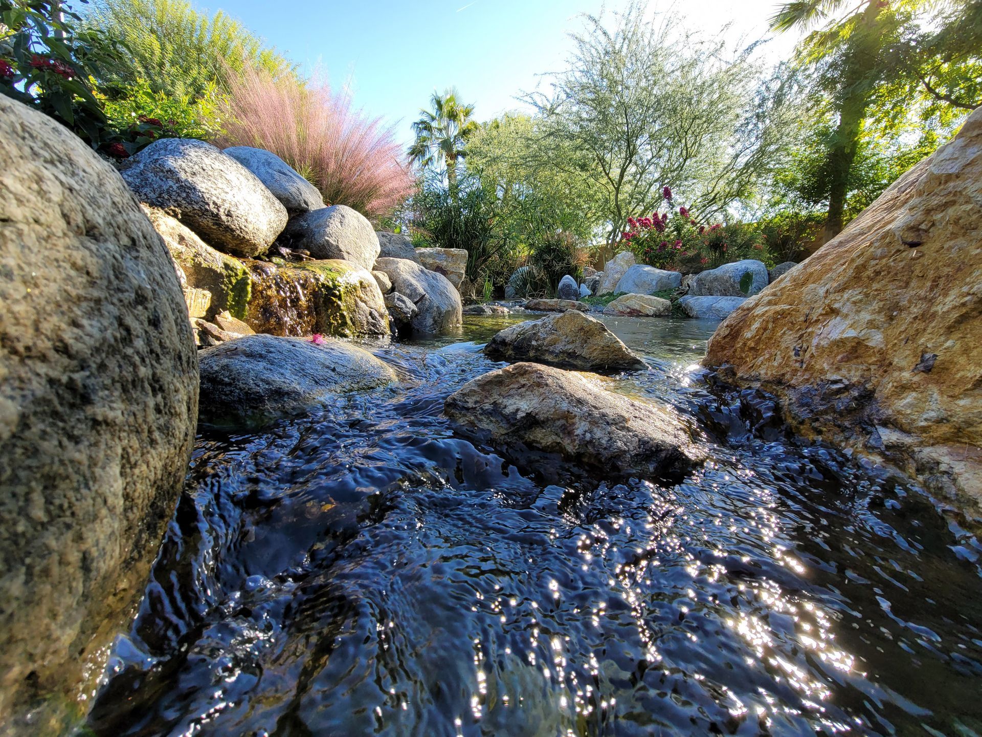 Water flows over rocks in a stream, with green and pink flowering bushes in the background.