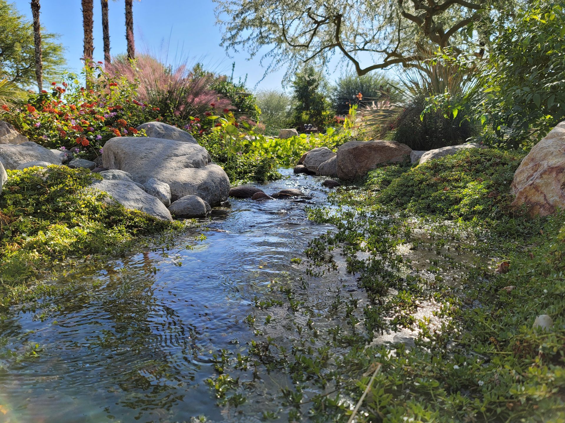 Stream flowing through a garden with rocks, green plants, and colorful flowers under a sunny sky.