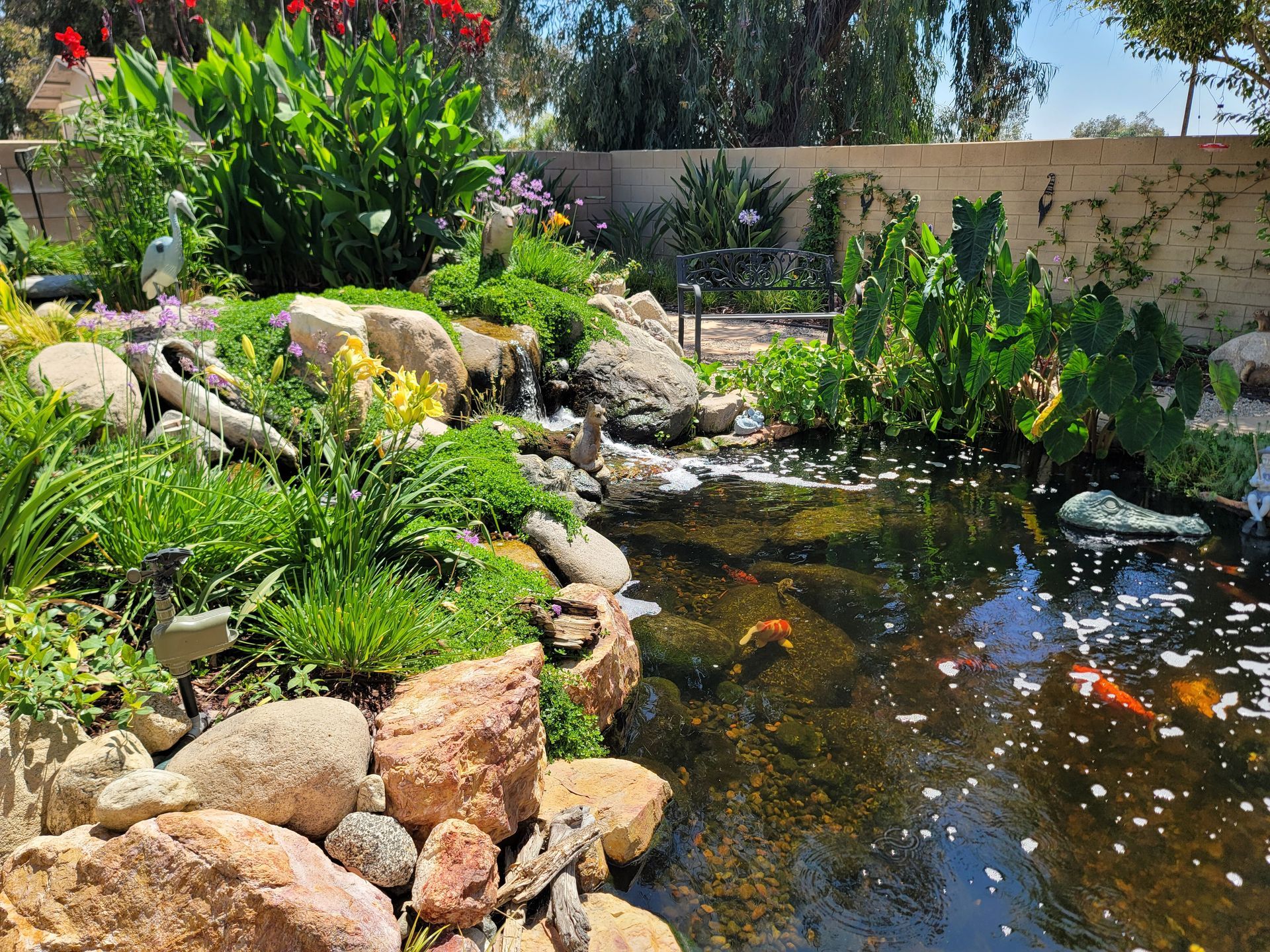 Pond in a garden, surrounded by rocks and lush greenery. Koi fish swim in the clear water.
