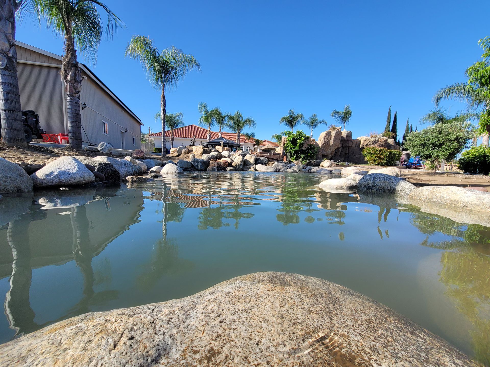 Pond with rocks and palm trees under a clear blue sky. Water reflects surroundings.