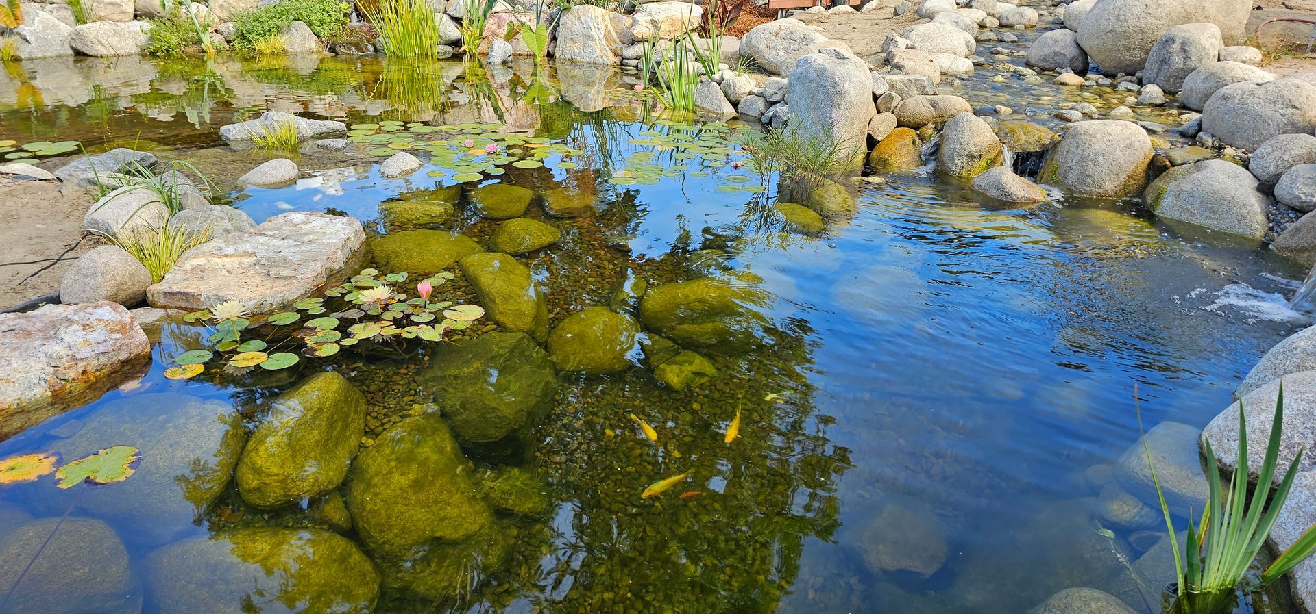 A small pond with rocks, water, and some aquatic plants, reflecting the sky.