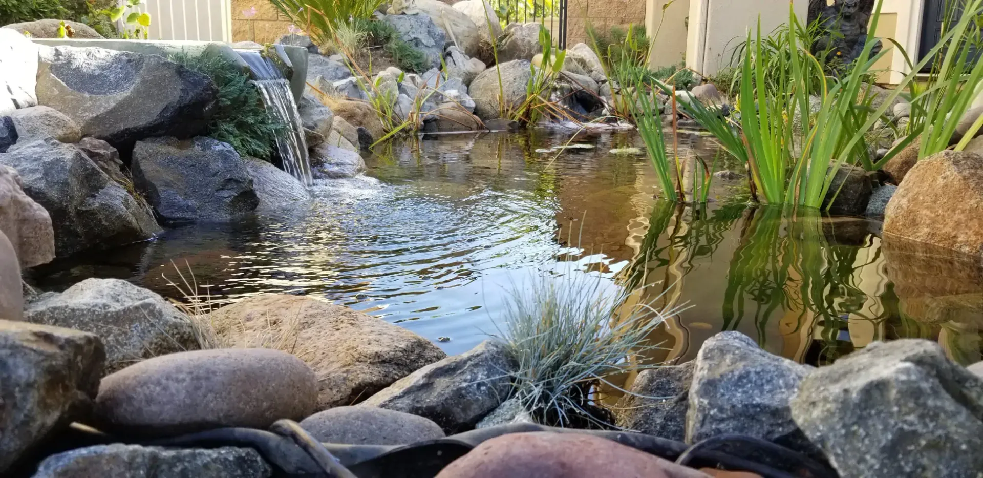 A small pond with rocks, a waterfall, and water plants.