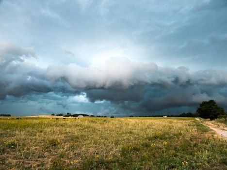 Overcast sky over a golden field. Dark clouds obscure the sky, with a road and a tree visible.