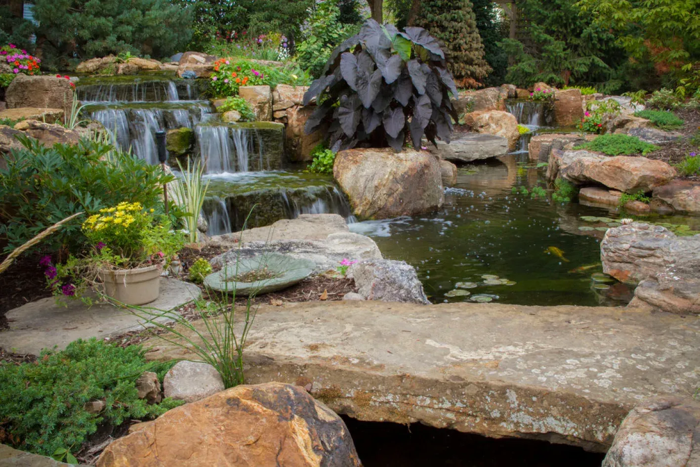 Waterfall cascading into a pond, surrounded by rocks, lush plants, and a small bridge.