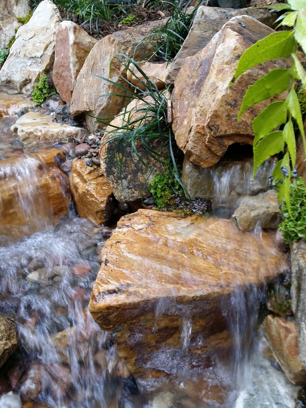 Water cascading over golden rocks in a small stream with some greenery.