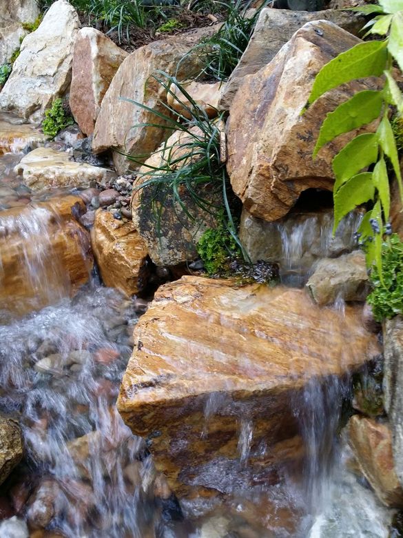 Water cascading over golden-brown rocks in a small waterfall; plants grow nearby.