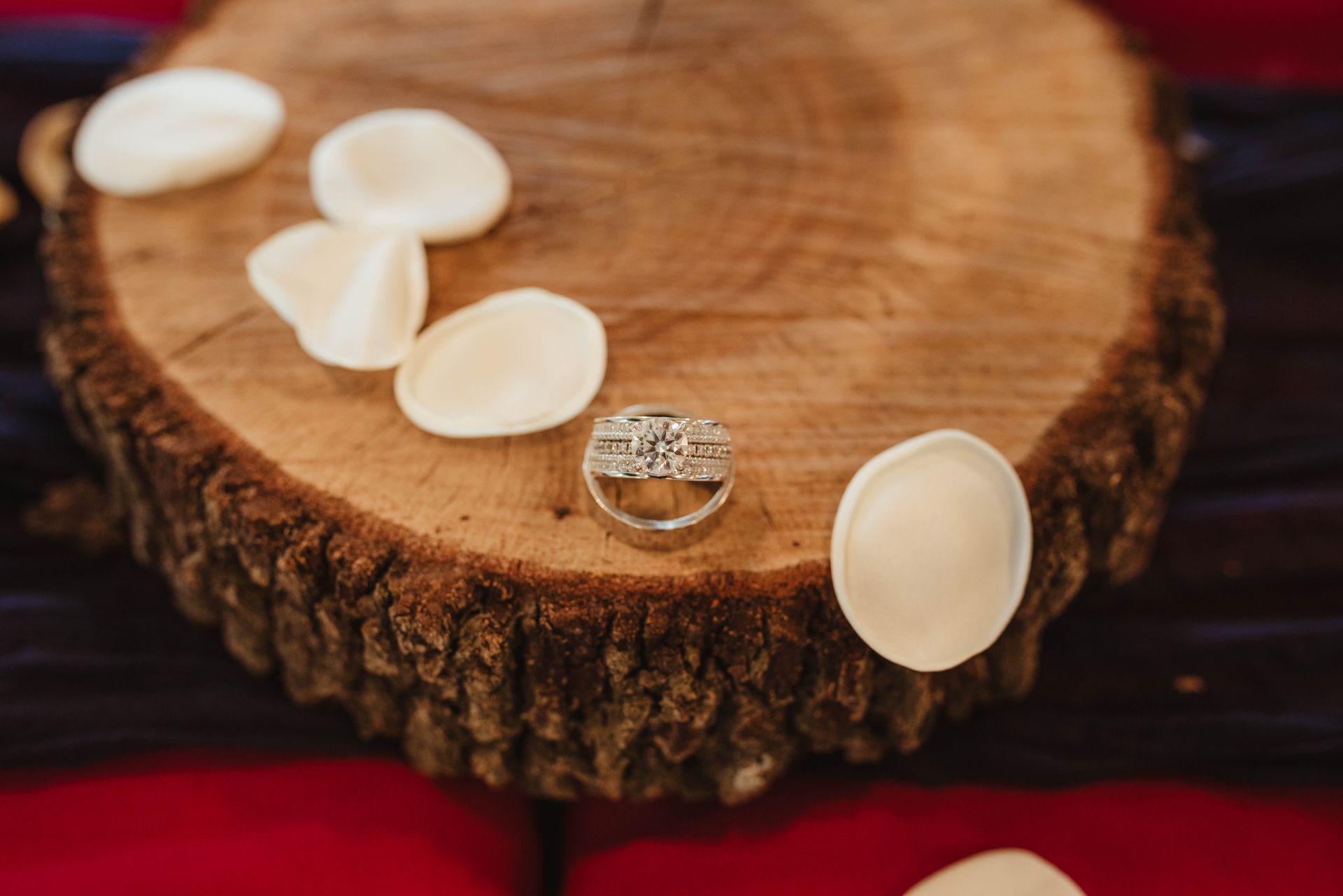 Wedding rings on a wooden slice with scattered white petals, on a red and dark purple background.