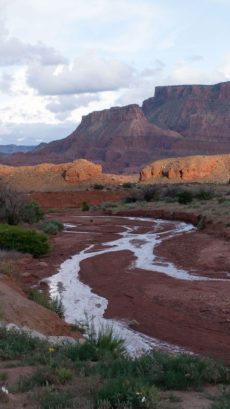 A river running through a desert landscape with mountains in the background.