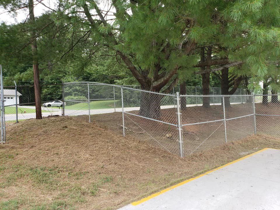Chain Link 23