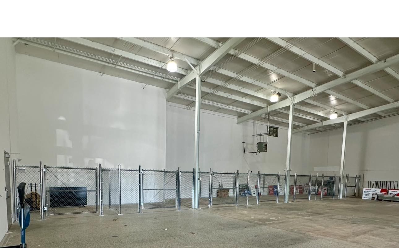Chain Link 16