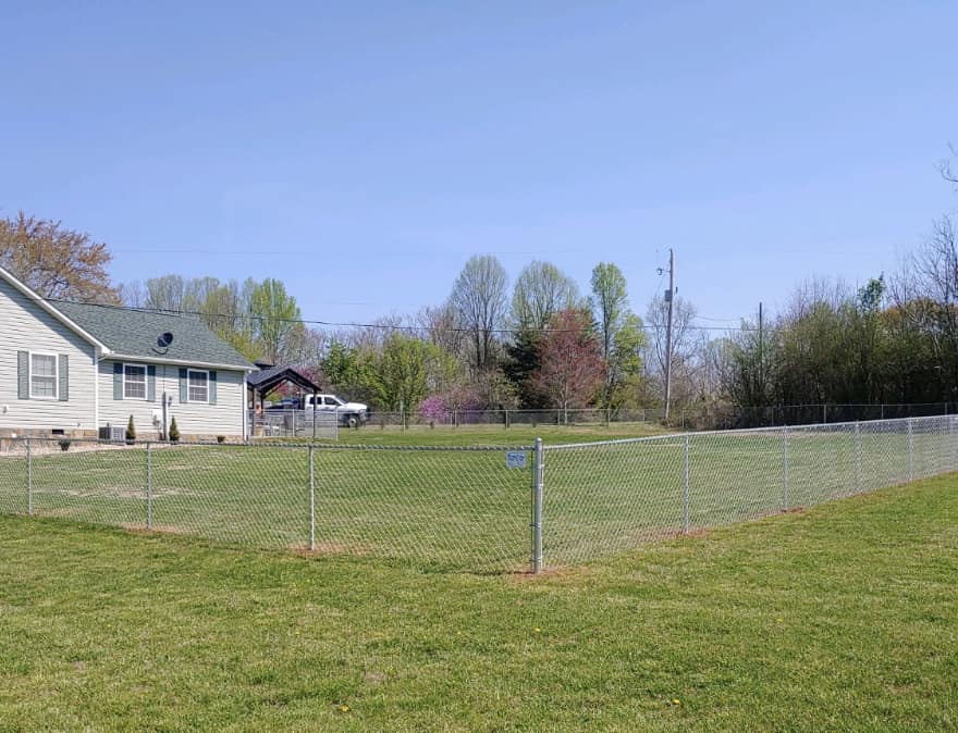 chain link enclosing backyard