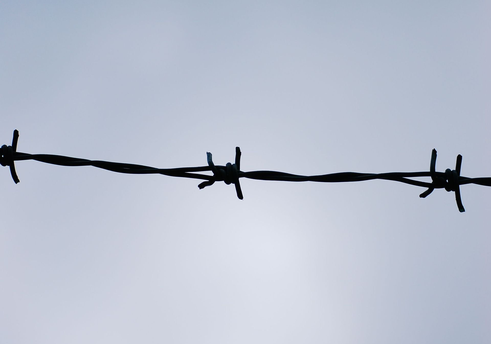 Barbed Wire Against Blue Sky