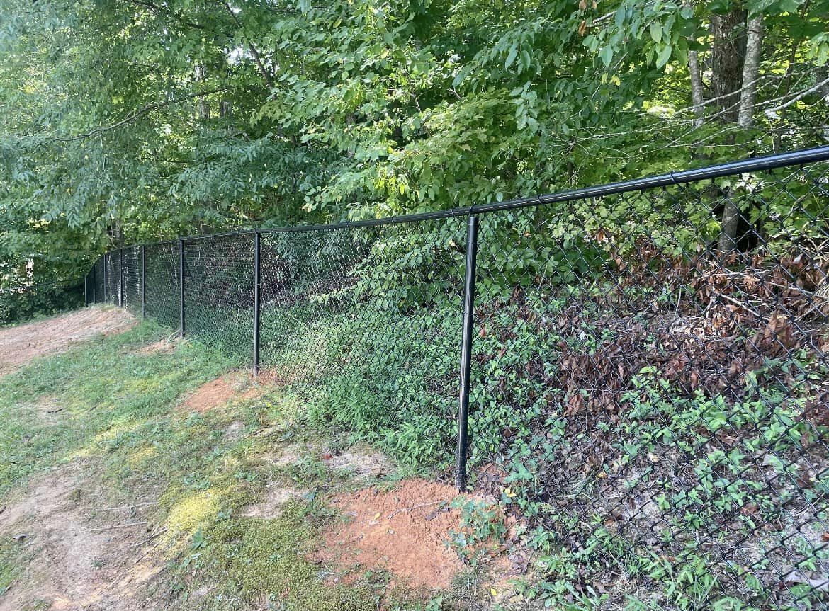 Vinyl-coated chain link fencing at back of property