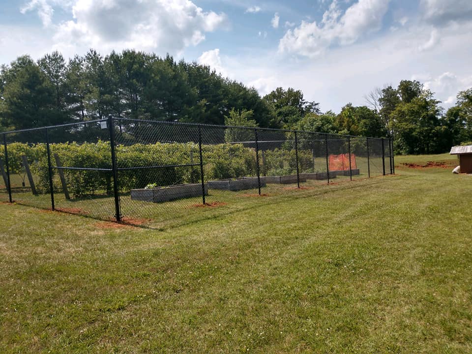 Black vinyl-coated chain link fencing enclosing garden