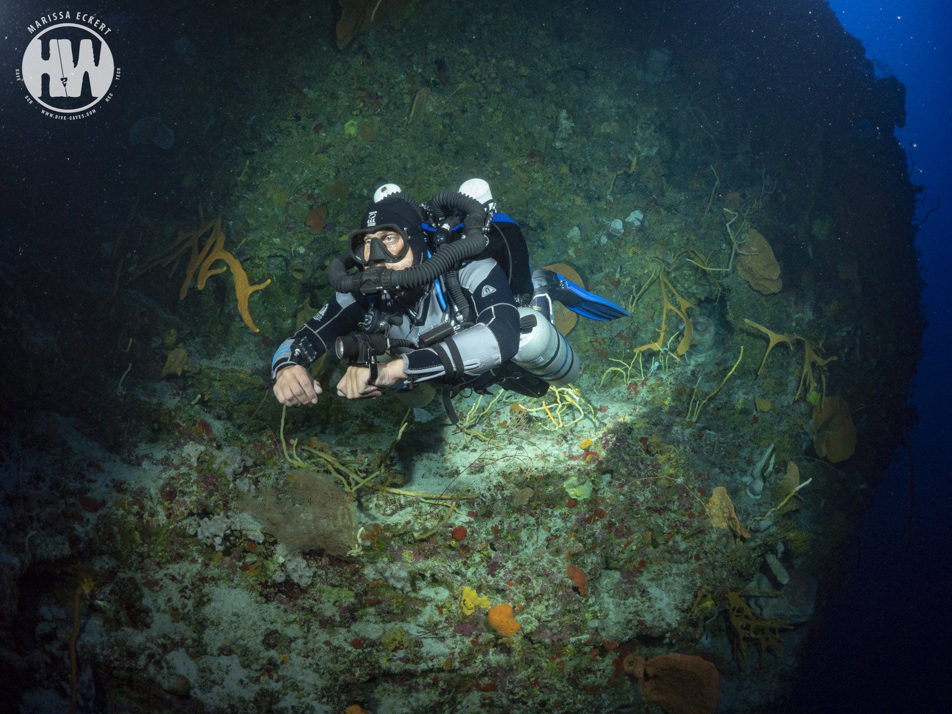 Diving in the sea bottom