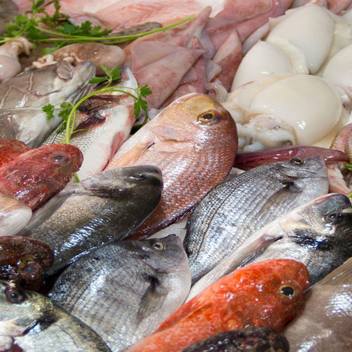 PESCADERÍA MUÑOZ - Pescado fresco