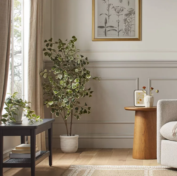 A living room with a couch a table and a potted plant