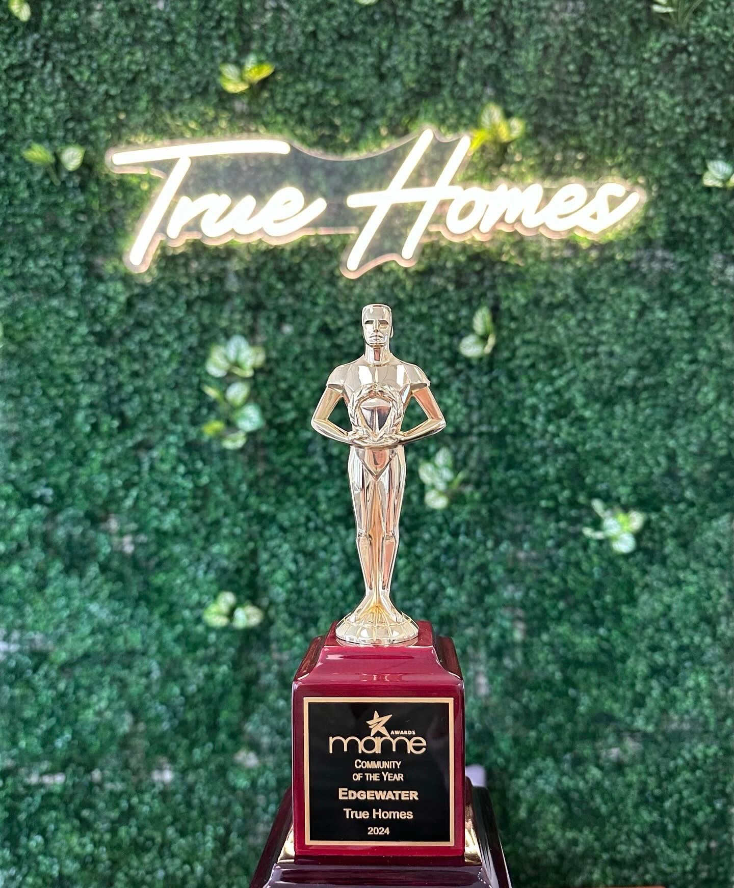 A trophy is sitting in front of a green wall.