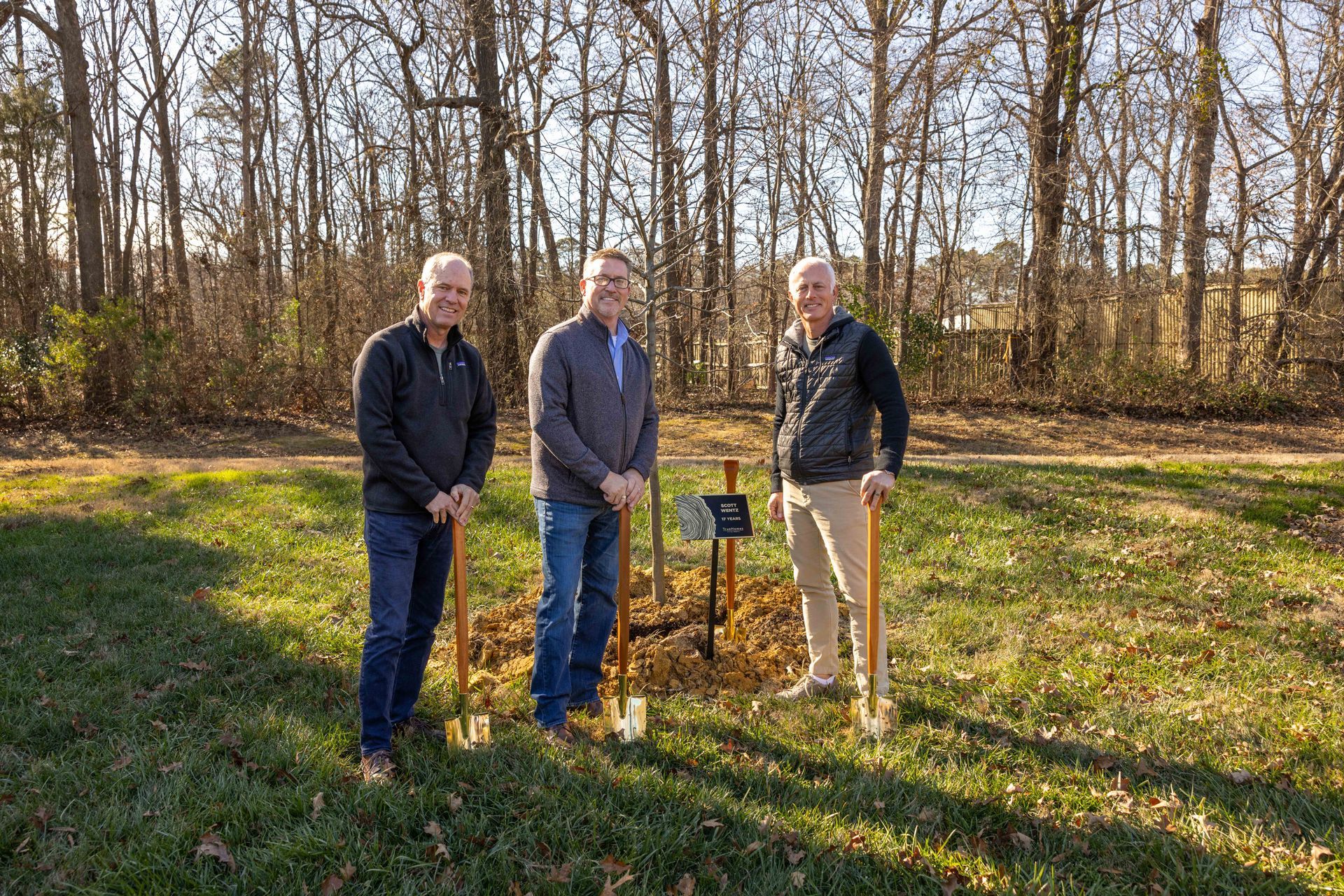 Three men with shovels stand by a newly planted tree in a sunny field, trees in the background.