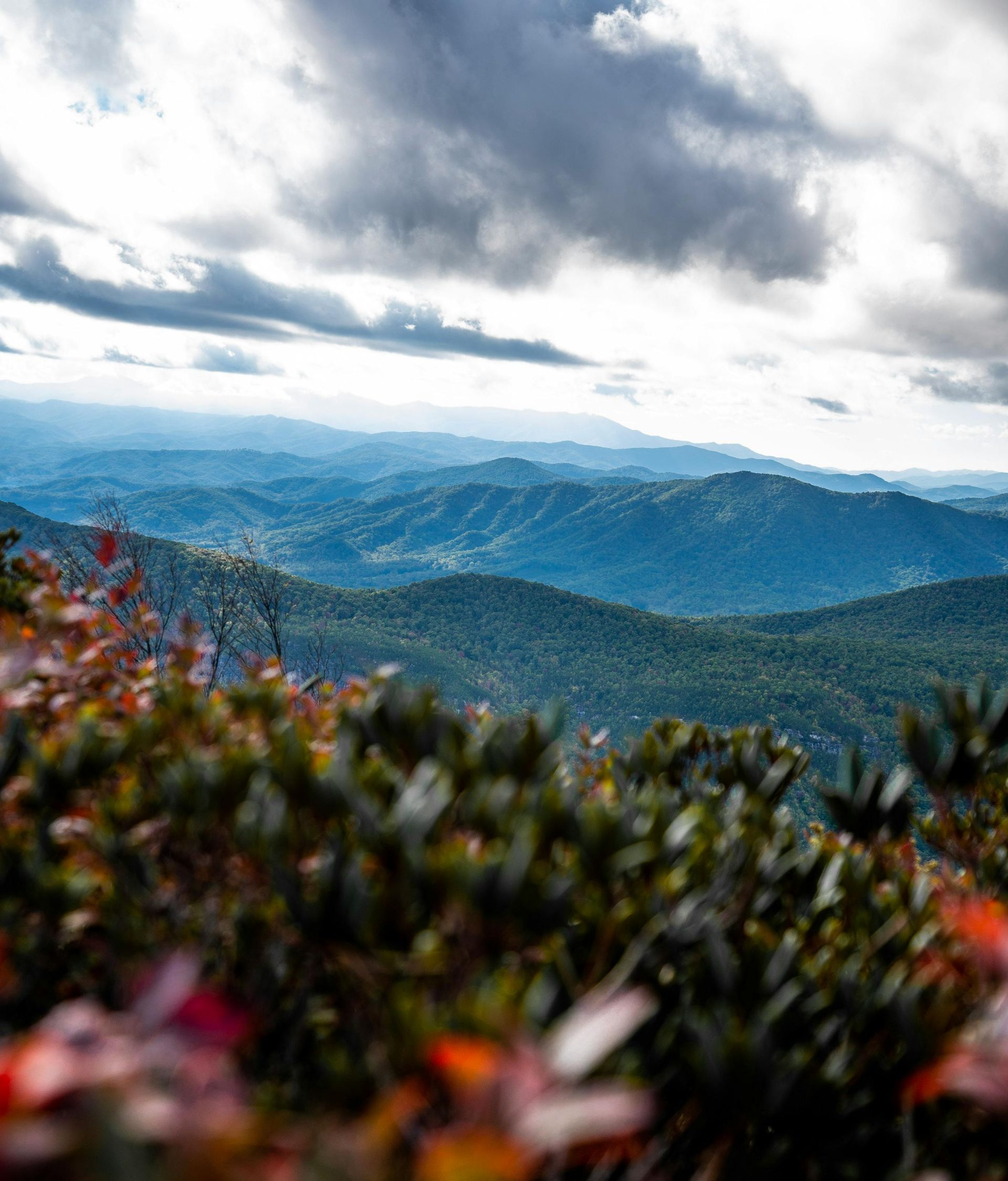 A view of a mountain range with trees in the foreground and a cloudy sky in the background.