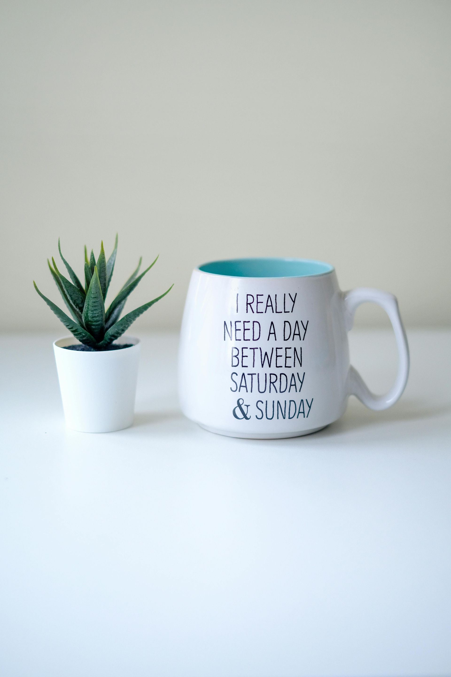 Mugs