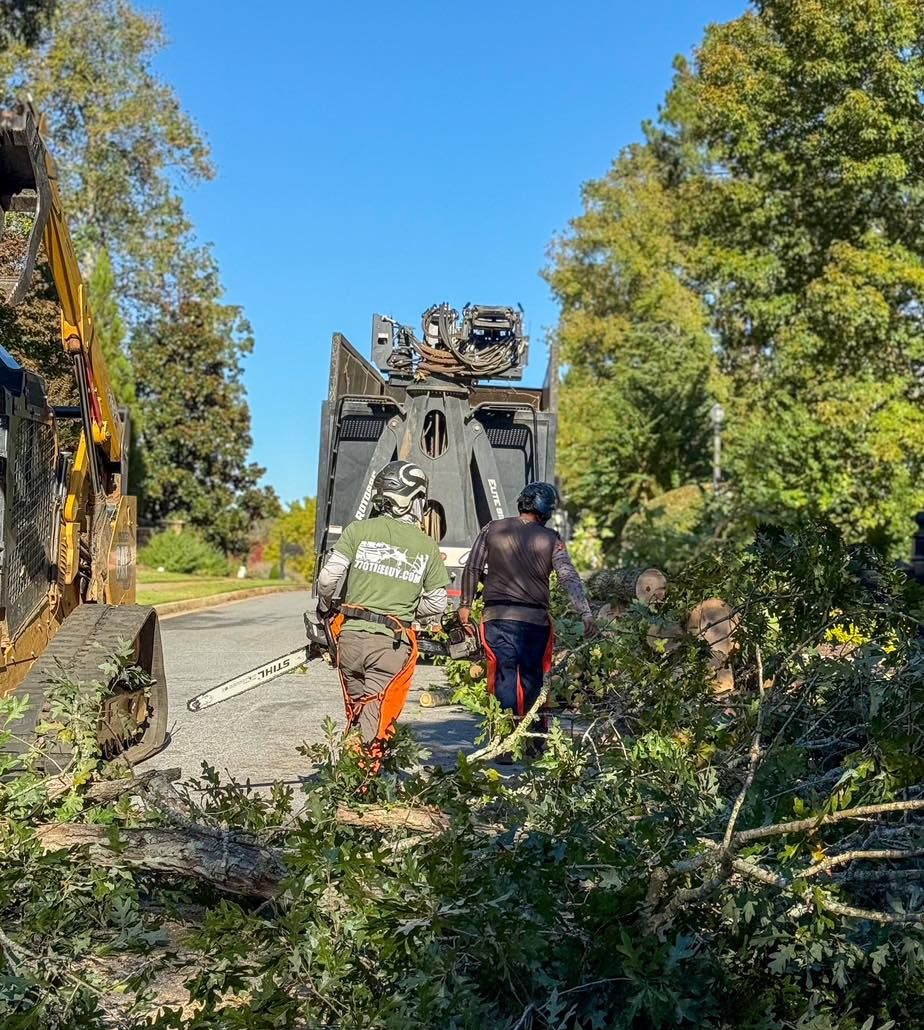 Two workers in safety gear and bright orange chaps stand near a tree shredding machine on a paved road lined with trees.