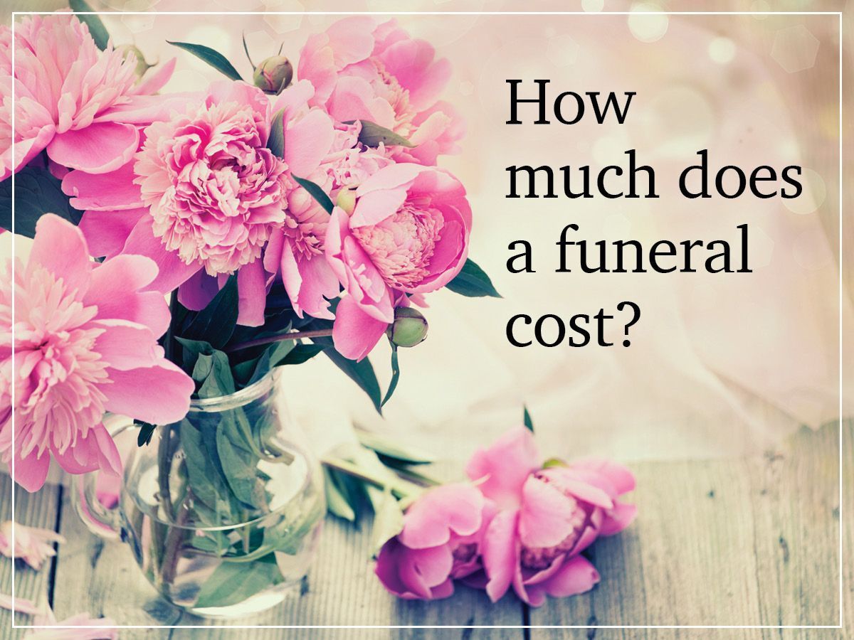 Pink peonies in a vase, next to text asking