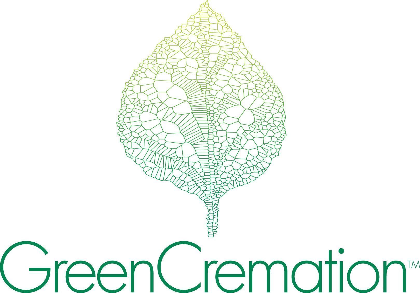 Logo: Green leaf made of lines, green gradient, text