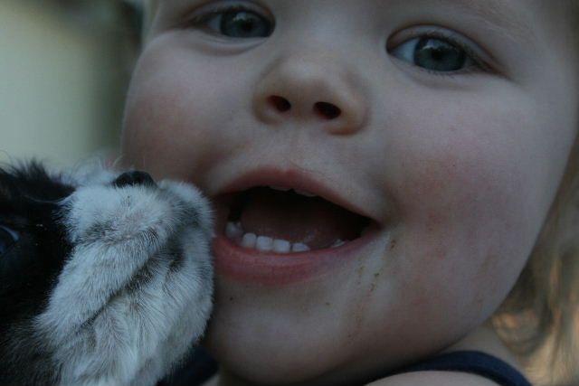 A close up of a child holding a dog